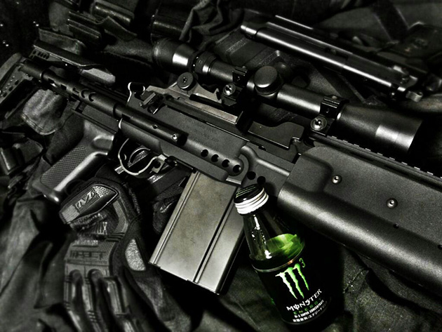 M14 EBR & MONSTER
