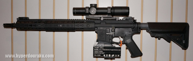 SR-15E3 IWS MOD2