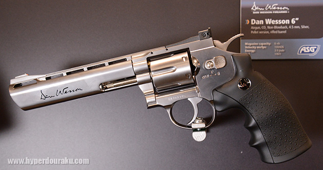 Dan Wesson 6"