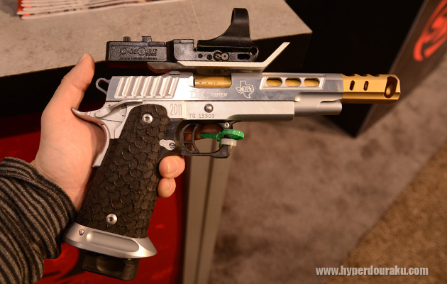 2011シリーズのDVC Open