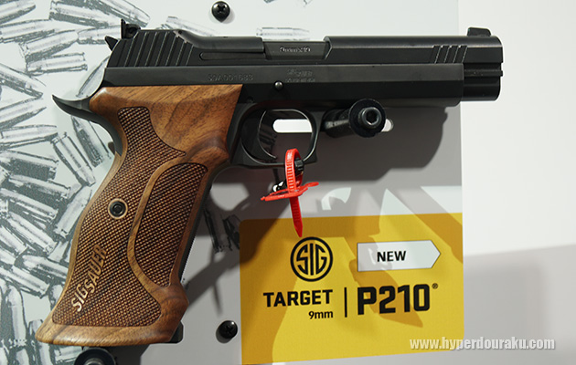 P210 TARGET
