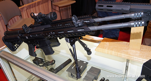 "DOUBLE DEVIL" TWIN AR SYSTEM