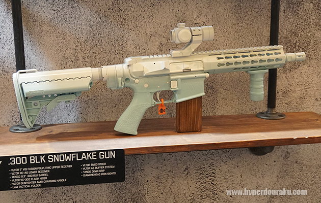 .300 BLK SNOWFLAKE GUN