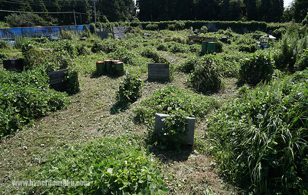 いぶんと印象が違った