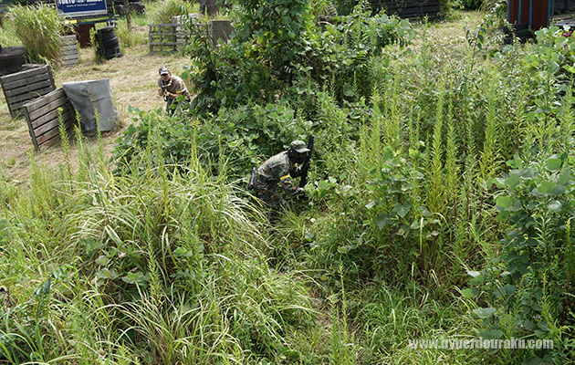 とりわけブッシュが濃く