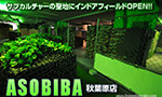 ASOBIBA 秋葉原 [東京]