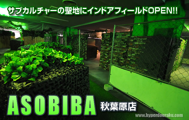 ASOBIBA(アソビバ) 秋葉原店 フィールドレビュー