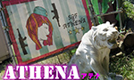 ATHENA(アテナ) [千葉県]