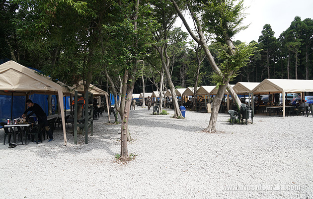 セフティエリア