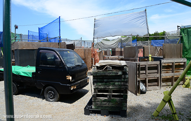 フィールド内には車両も