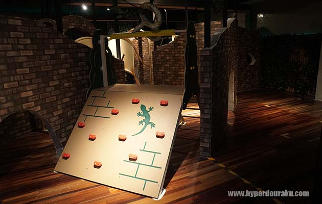 アドベンチャーアスレチック