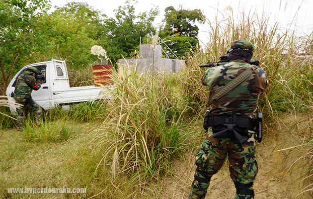 ブッシュも多く