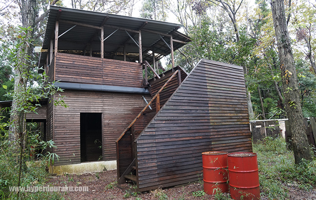 森林フィールド