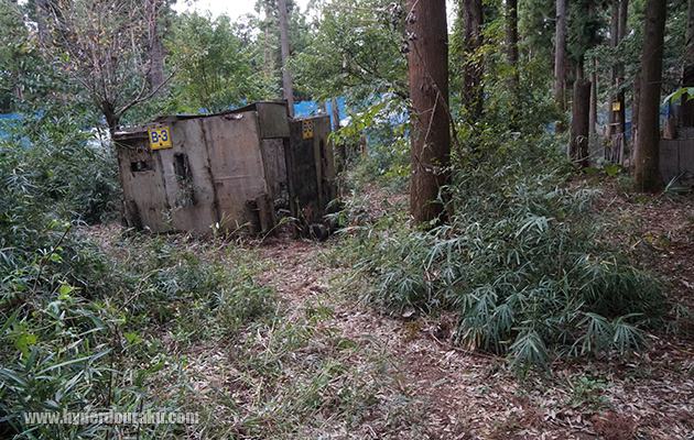 森林フィールド