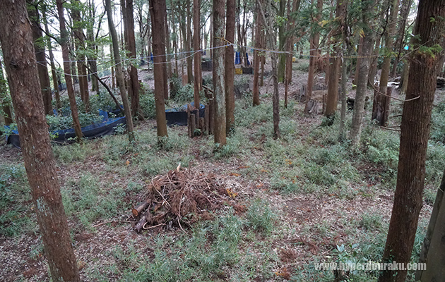 BとCフィールドを繋げて