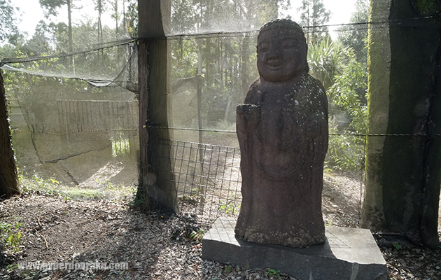 D・Eフィールド