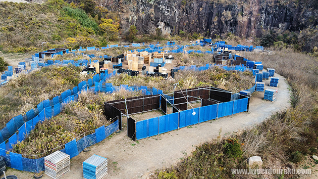 バラエティ豊かなフィールド