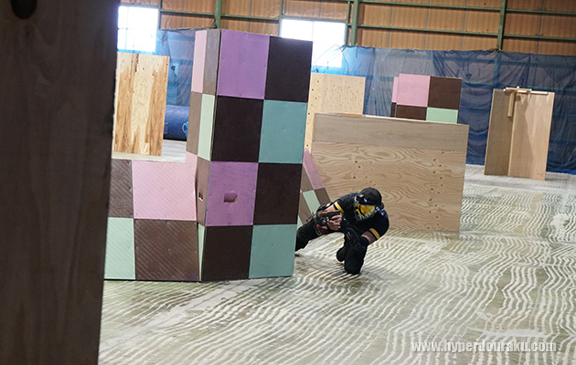 低い姿勢で機敏に回り込んだ