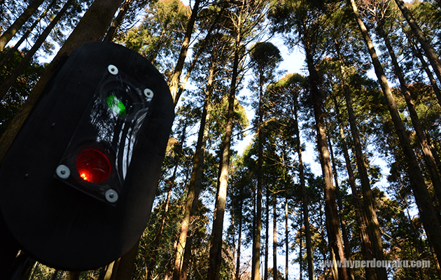 雰囲気の良いフィールド