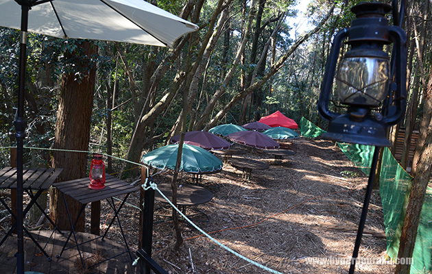 セフティエリア