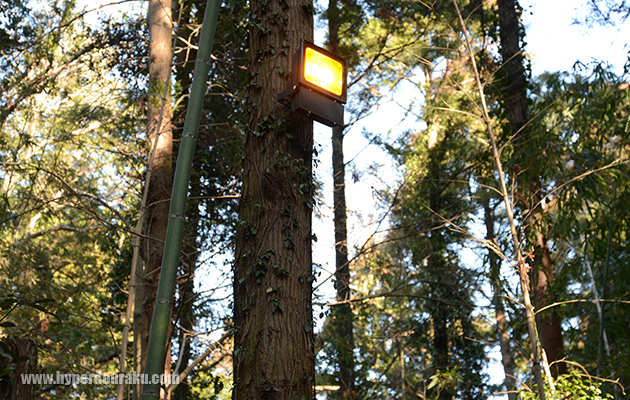 オレンジ色の照明