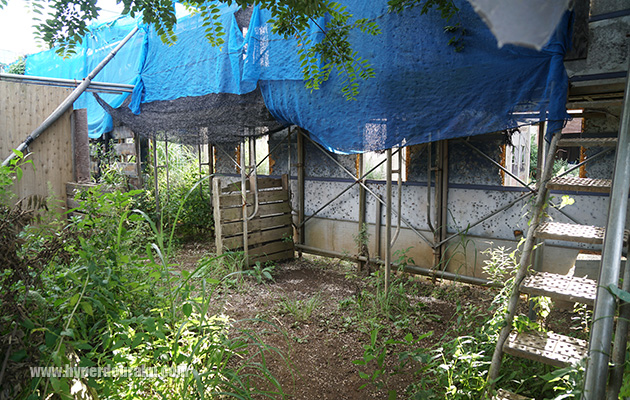 狙撃できる射線