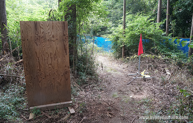 フラッグポイント