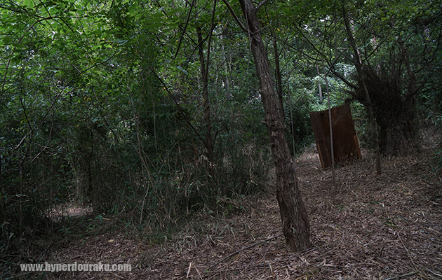 網の目状に侵攻ルート