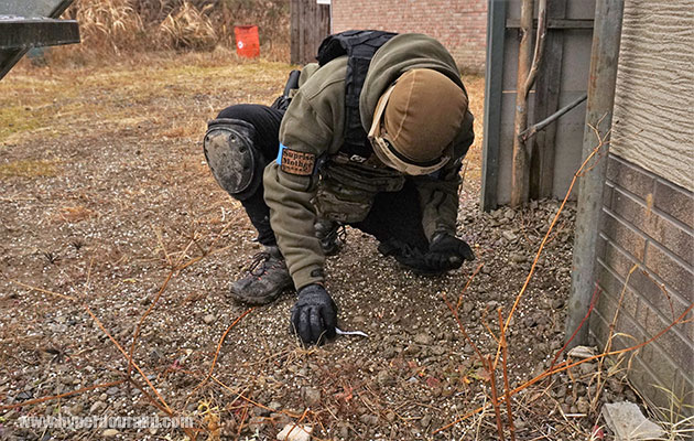 黒のバイオBB弾10発