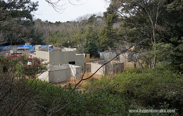 森林エリア CQBエリア