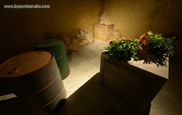 メインフィールド