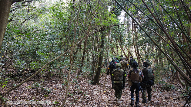 林側フィールド