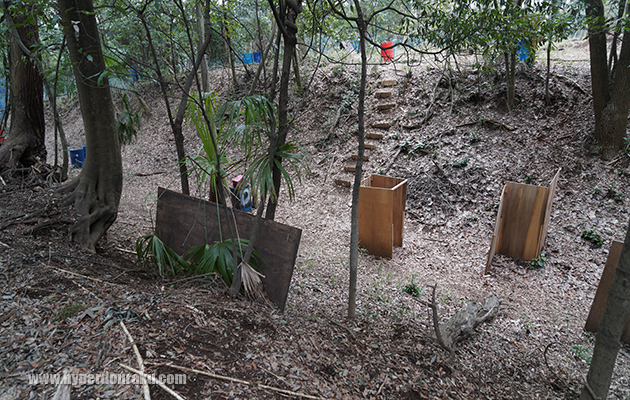 深さ5、6mはあろうかという谷の中