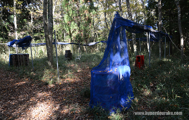 ネットで囲まれたポイント