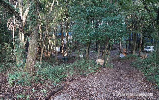山林のアウトドアフィールド