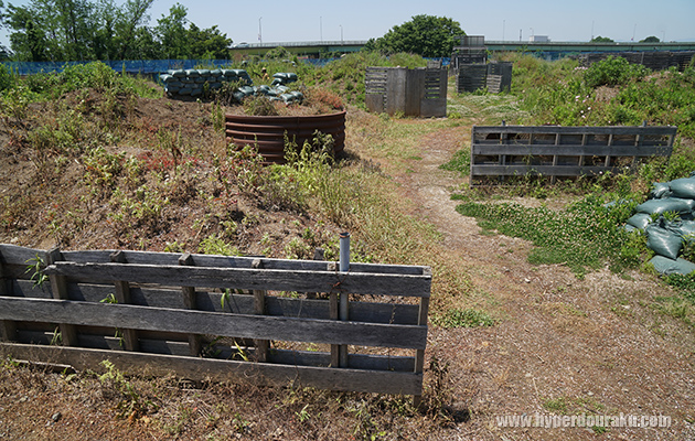 小道が網の目状
