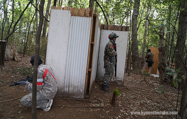バリケ密度が程よく
