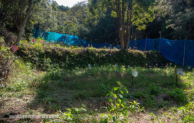 UTORA SHOOTHING PARK