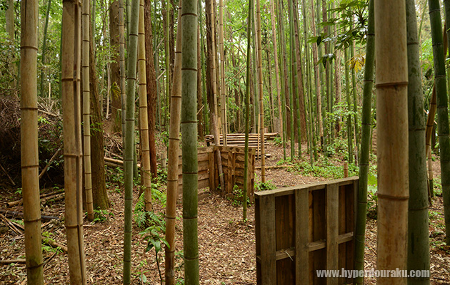 竹林エリア