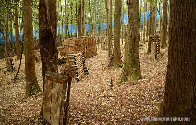 緩やかに登っている傾斜地