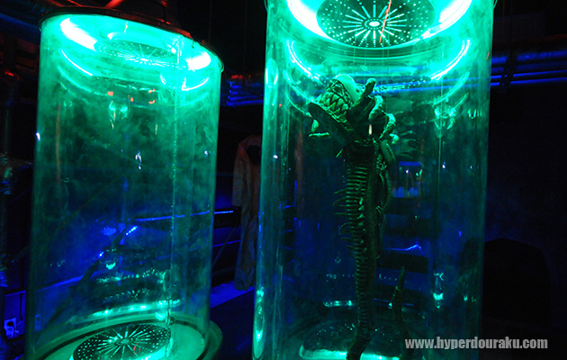 もう一匹はどこへ?