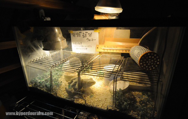 マガジンウォーマー