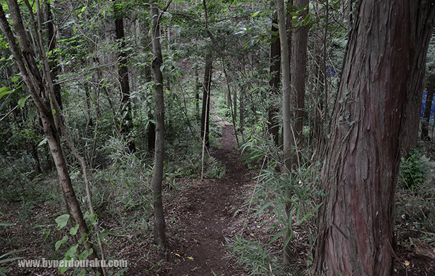 平地奥の下り斜面