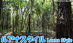 ルアナスタイル　フィールドレビュー