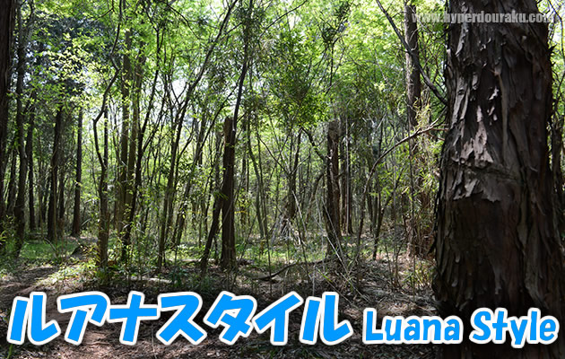 ルアナスタイル　サバイバルゲームフィールド