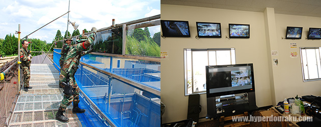 観戦できるような高台