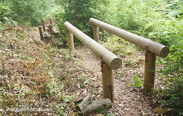 アスレチック遊具