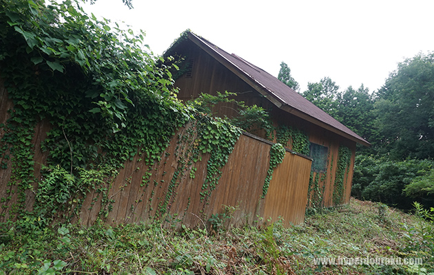 ミステリーハウス