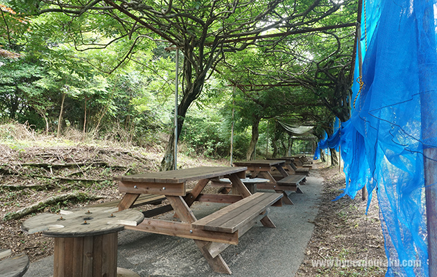 セーフティエリア