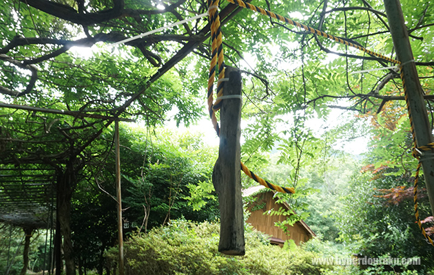 備長炭のターゲット